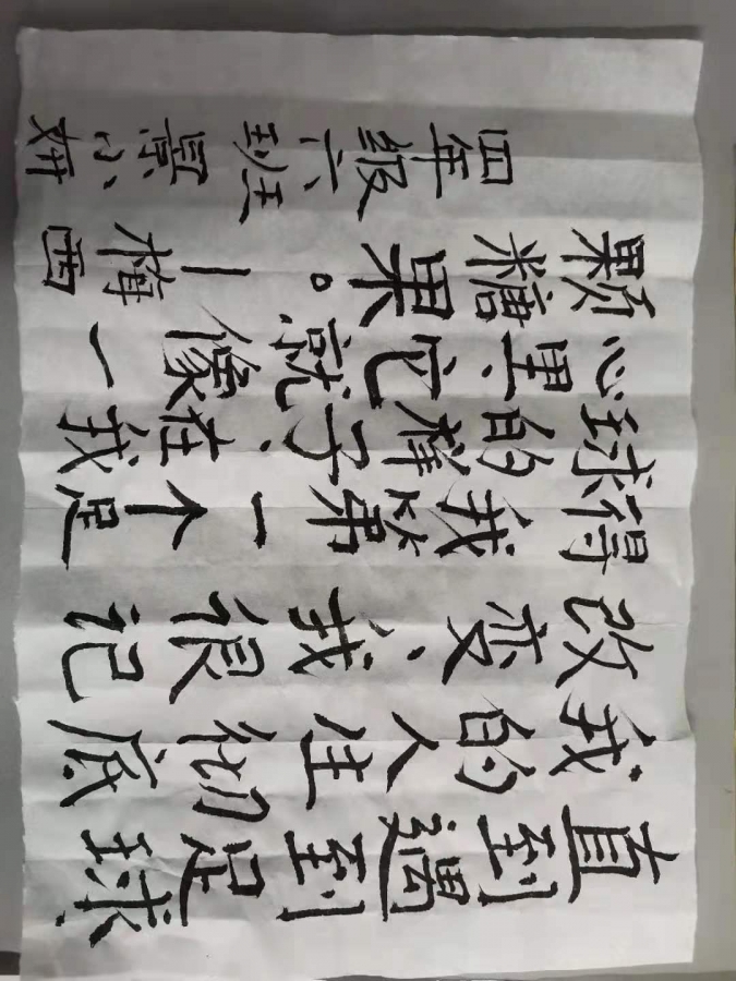 足球嘉年华书法比赛作品