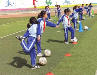 02b122409a6ae43b7ab5f4beaf77255