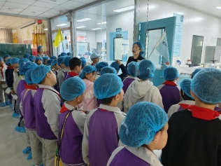 43cb422847f403782893cbb476b769d