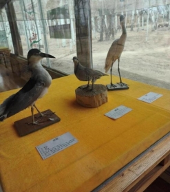 c77bd22d655ce547ddad023b6e3e52d