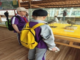 44537dc2ae5d8328aa3e74810ae49c9