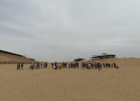 1f907a33fb5048062824c20db9af2bb