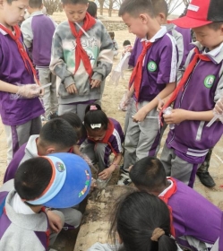 e9b93b295bdfc4b9c5395ac25bec9f3