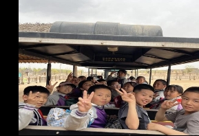 03e9a9af652251811d20c123d1ab9db