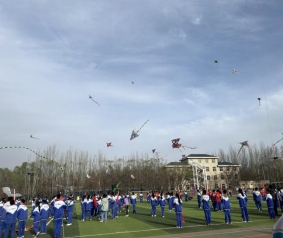 ba6ed88317910134e54fca8b513c12e