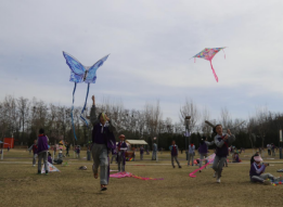 C:/Users/Hello/Desktop/放风筝活动/图片8.png图片8