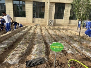 05ee456ab0ae3219609b140438a99aa