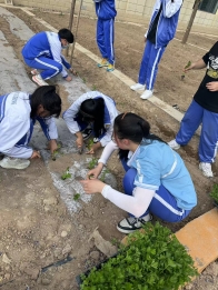 1cbd3281ca97e204fad0b7fed94d3df