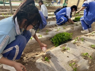 a10c83da73a1226a9121f0db4194ee6