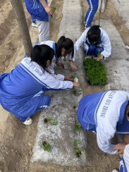 4c0eba505177e9ca4814c9bd14aa603