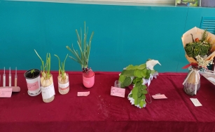 8d585edc235672ca7a10ec322760cbb