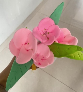 c3095a56c2e7a0389d9745ca1d5d444