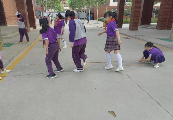 17edfd4b39b30358258303b854affad