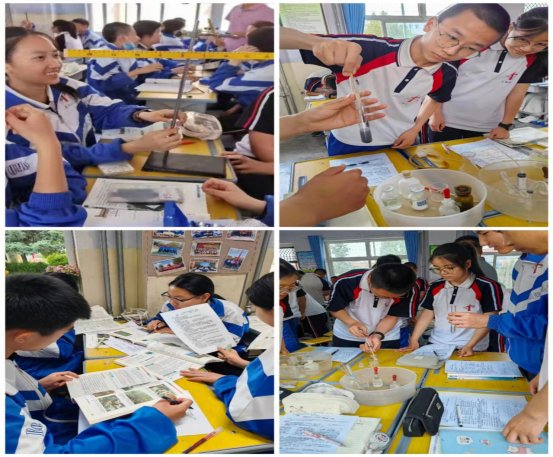 微信图片_20240603072758