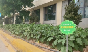 微信图片_20240709160209