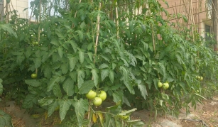 微信图片_20240709160207