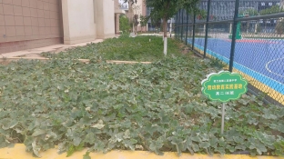 微信图片_20240709160210