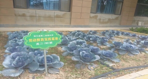 微信图片_20240709160211