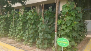 微信图片_202407091602081