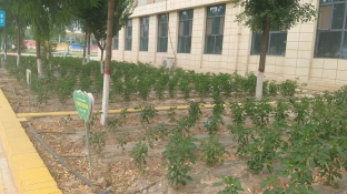 微信图片_20240709160117