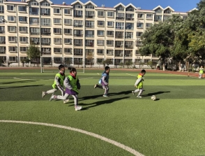 ebdcd5548f79c3d97a905cd18931a0f