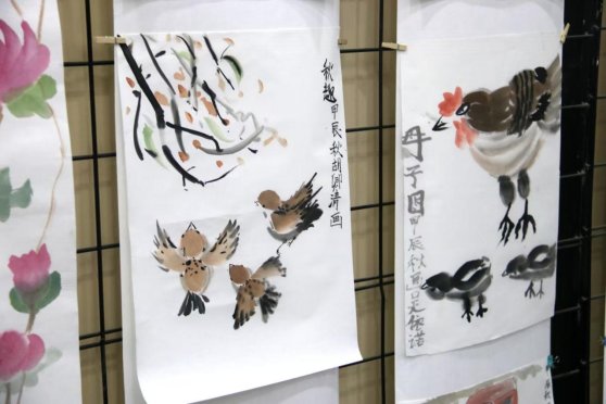 d34f36a2c2eb33eec390800ea9a564f