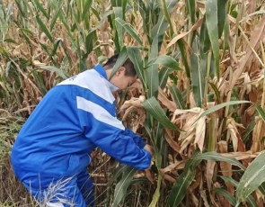 cf95b3e03aae8efeb20f144e40dc668