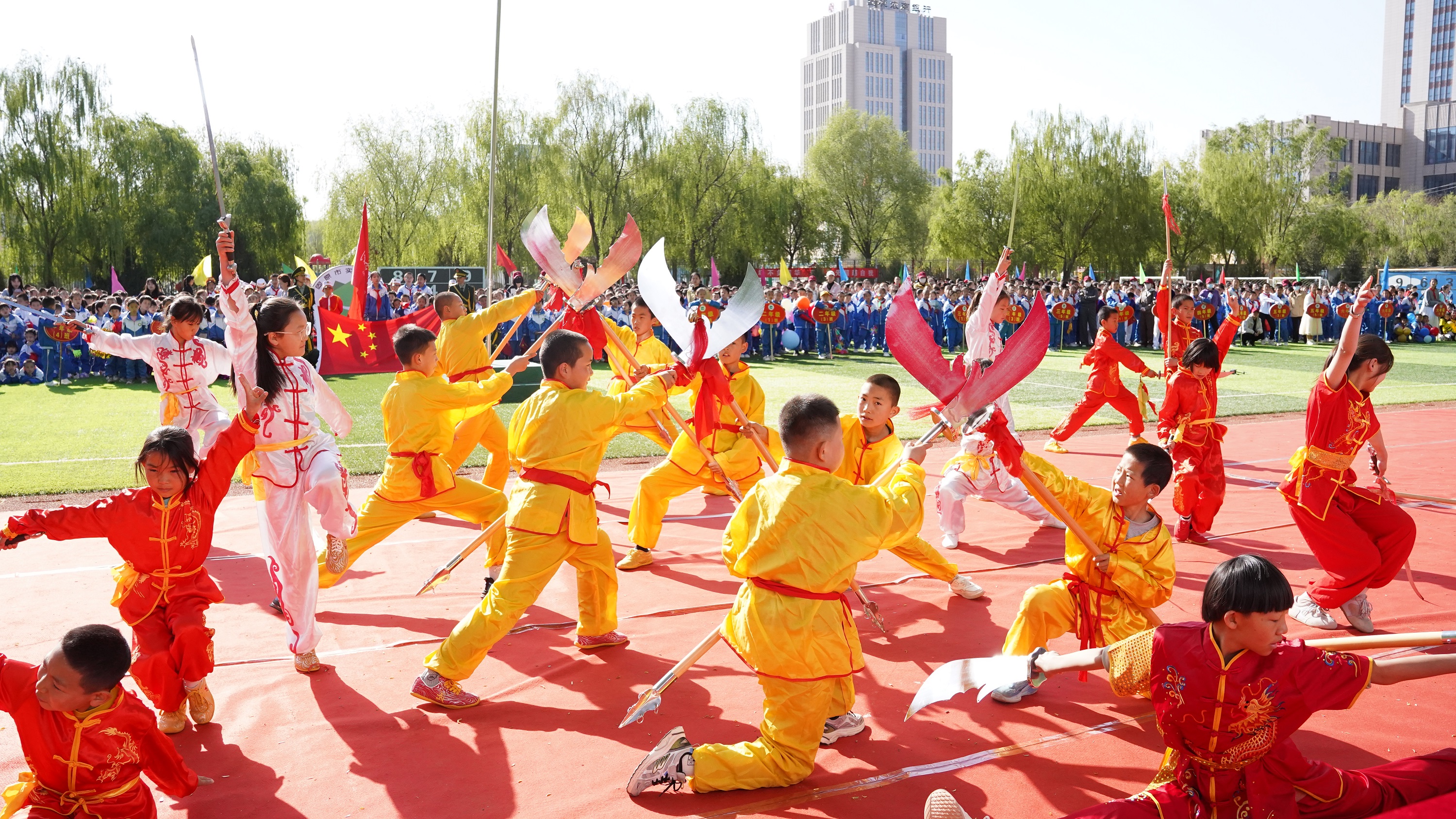 图片1