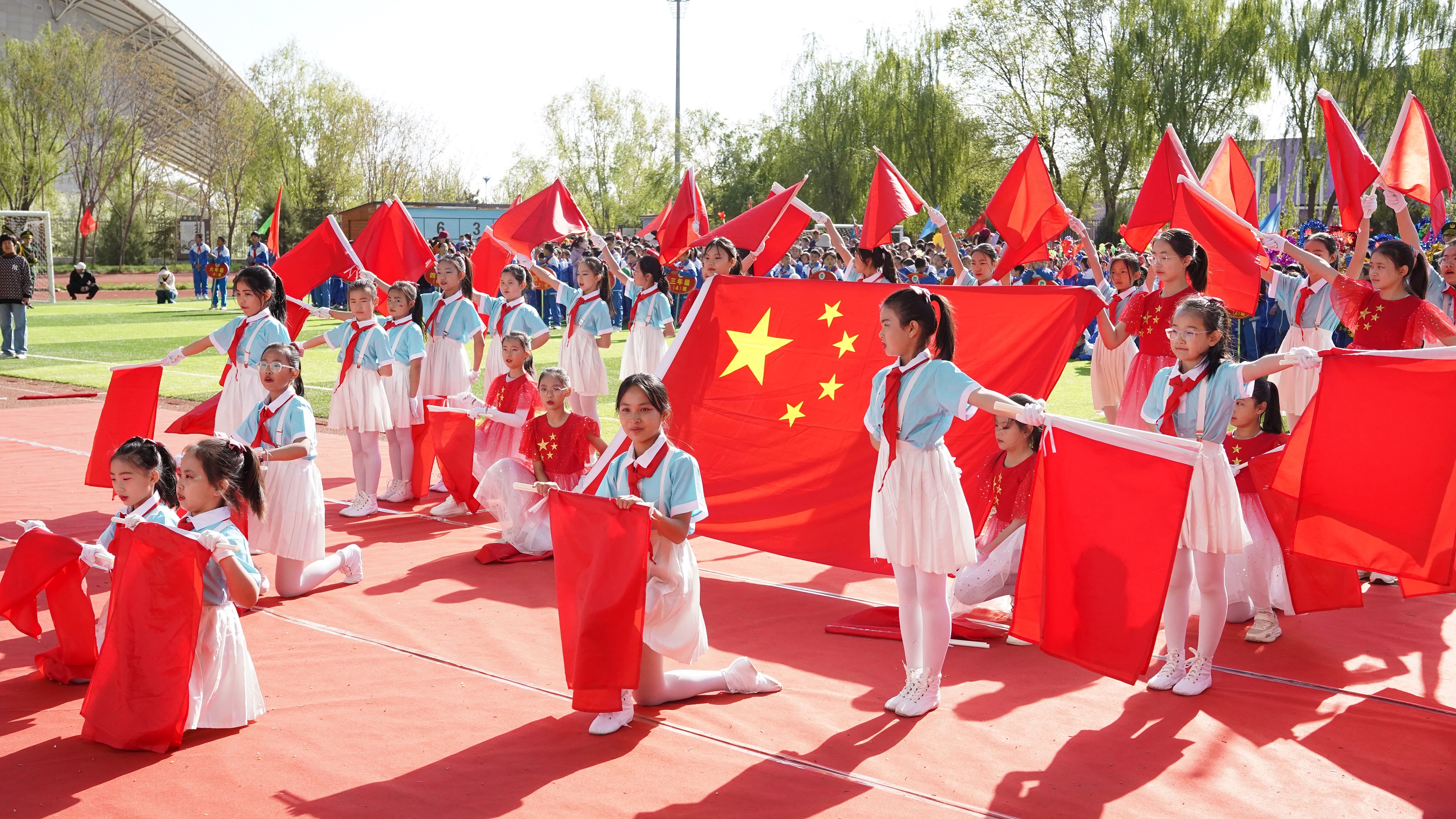 图片1
