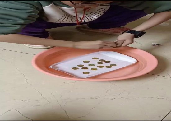 3f08fd9951f061e5d5a2fe52ef470fc