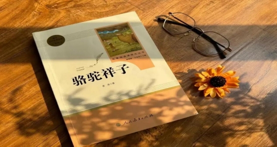 7c4446758ffa46358ee4523534c40c6f