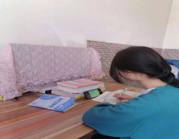 ad224a309e10c7c9ecf31258087fcf6