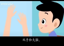 双手和大脑