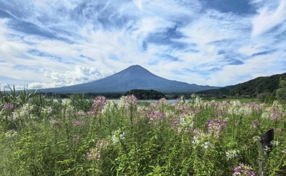 e81e5c5d284a50309242311f0e48c125