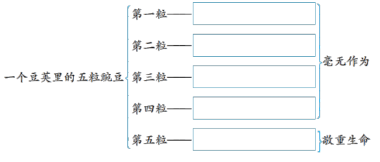 结构图
