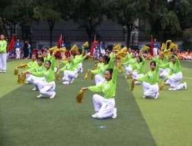 18b835802161b5a94223a9cd17fca8a