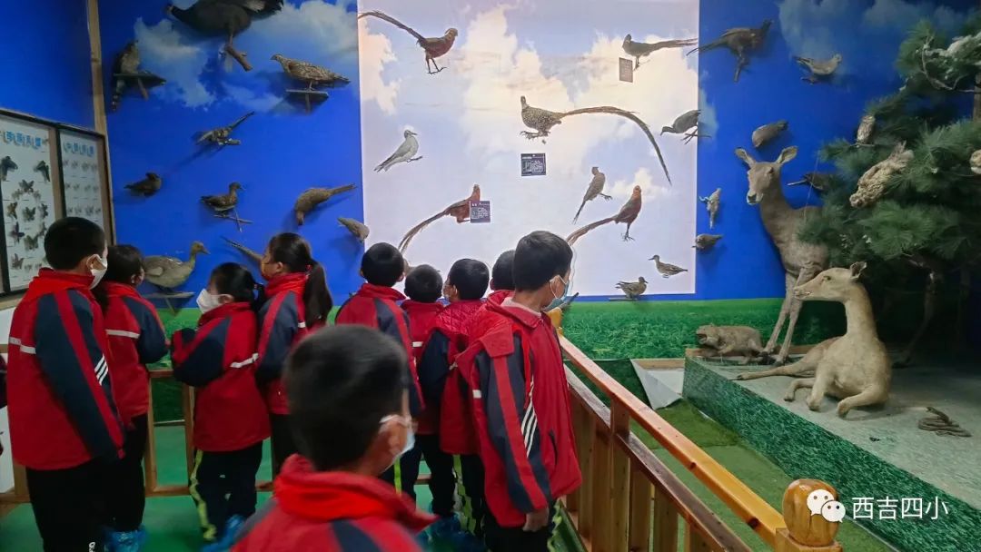 微信图片_20230317083913.jpg