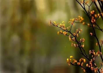 D:\do_cuments\WeChat Files\wxid_cx0iybvyd96622\FileStorage\Temp\f6dc748feccab75597e7782885f00653.jpg