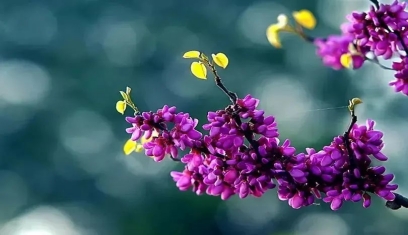 D:\do_cuments\WeChat Files\wxid_cx0iybvyd96622\FileStorage\Temp\06cbcfd5b6e4efe5853c1fd0f59391b7.jpg