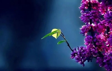 D:\do_cuments\WeChat Files\wxid_cx0iybvyd96622\FileStorage\Temp\ed6f027e946ddf73e3757ef9489717e6.jpg