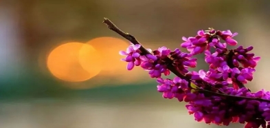 D:\do_cuments\WeChat Files\wxid_cx0iybvyd96622\FileStorage\Temp\84656d7a9e4eeec244e42cde3a7dfcd9.jpg