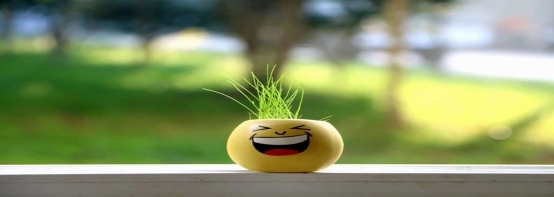 D:\do_cuments\WeChat Files\wxid_cx0iybvyd96622\FileStorage\Temp\0132cba2f94fb81b7b331168346742c7.jpg