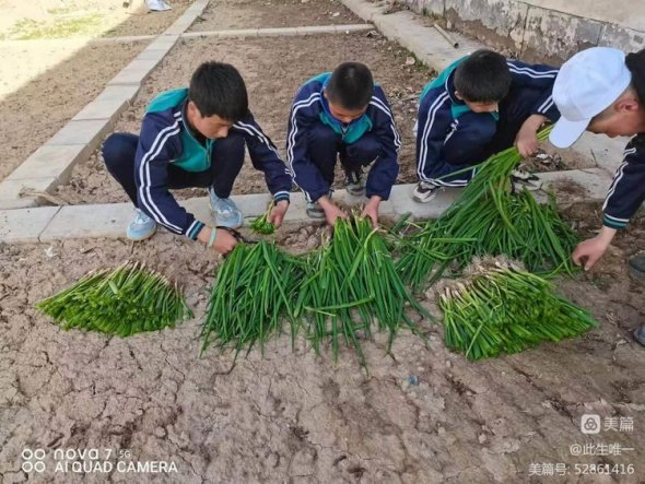 微信图片_20230417134403