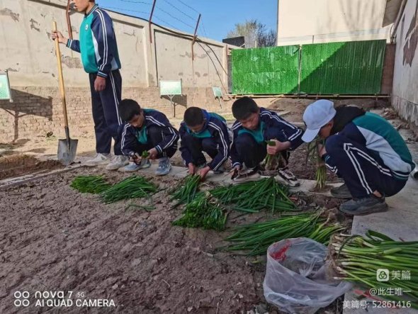 微信图片_20230417134408