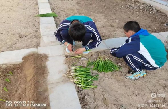 微信图片_20230417134418