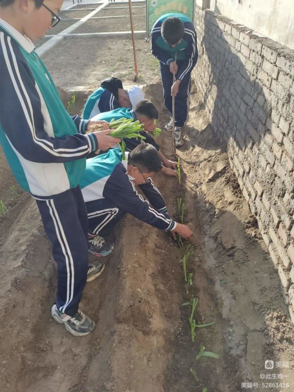 微信图片_20230417134627