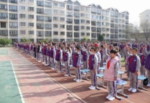 1dd9fd02864d67c5d5739e87e611420