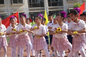 62d6a91497c6546e69a738a95664df5