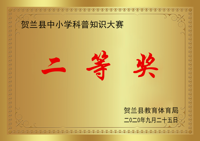 9.png