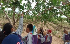 5ab60c7772323af253a701d13525263